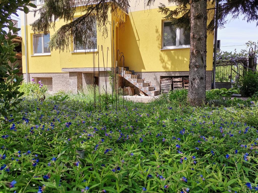una casa amarilla con flores azules delante de ella en Стаи за гости "Дом Градина Вита" / Guest Rooms “House Vita Garden”, en Sofía