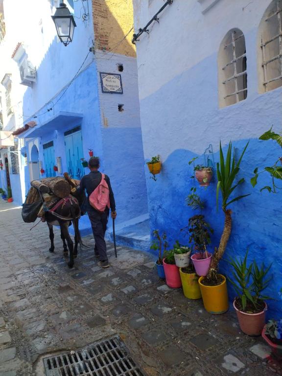 a man walking with a donkey in front of a blue building at Honey Suckle in Chefchaouene