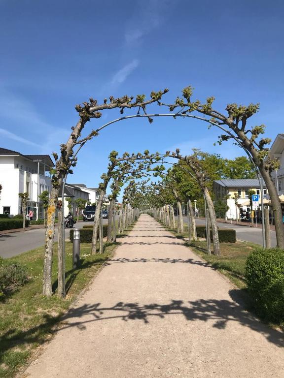 a pathway with an arch with trees on it at Haus Nicolai FeWo 8 in Baabe