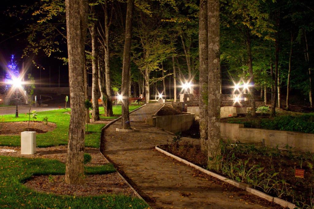 Zahrada ubytování Solva Resort Medical & SPA