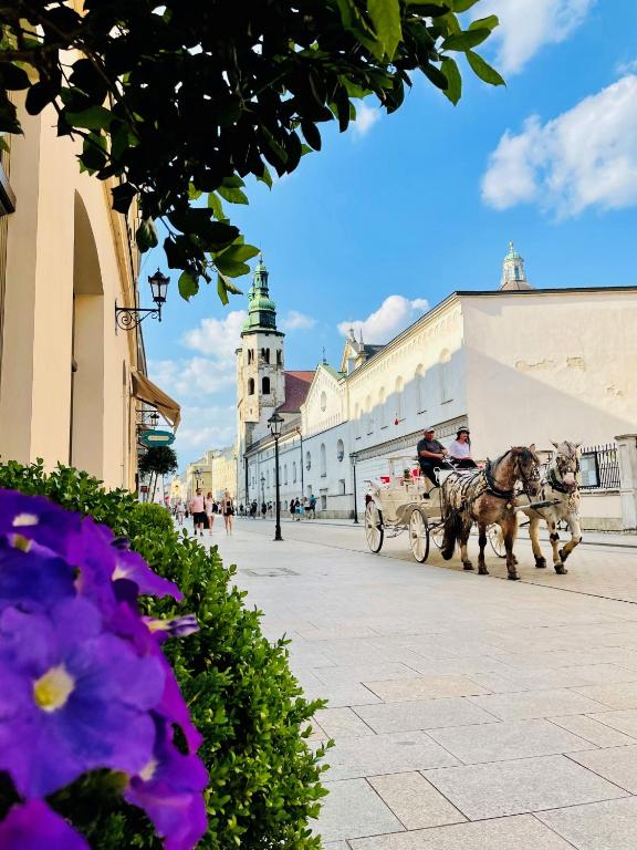 Balthazar Design Hotel - Resim 15