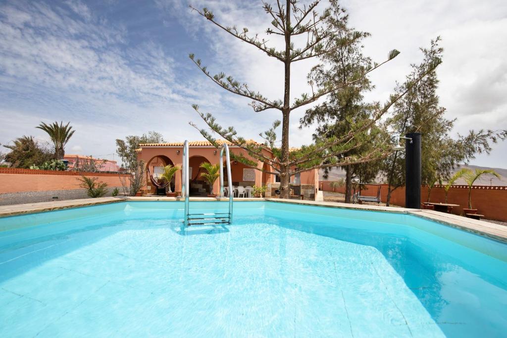 a swimming pool with a tree in the middle at Abundia House in Antigua