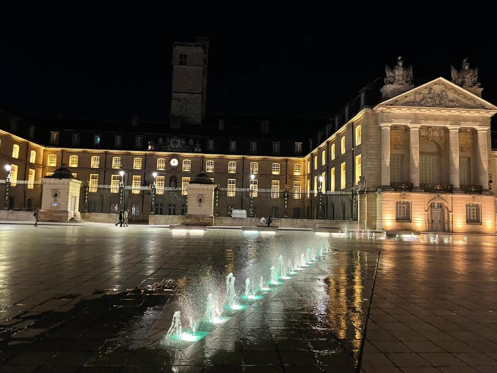 Alfred Suites - Appart's Hôtel - Dijon - Centre Historique - Resim 23