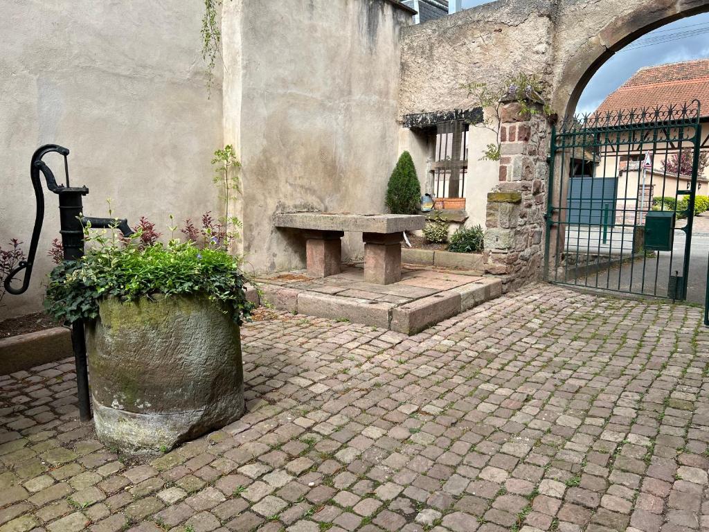 Fotografie z fotogalerie ubytování Gîte du Brocanteur v destinaci Scherwiller