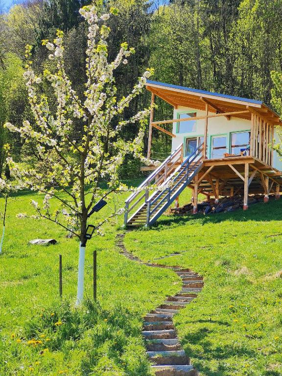 a house with a tree and a path leading to it at Rainbow Chalet in Bran