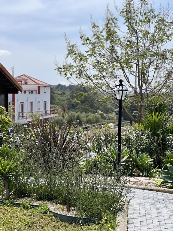 Um jardim no exterior de Quinta da Relva - Soulful House
