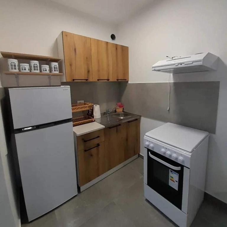 La cuisine est équipée d'un réfrigérateur blanc et de placards en bois. dans l'établissement Apartmani Ulcinj, à Ulcinj