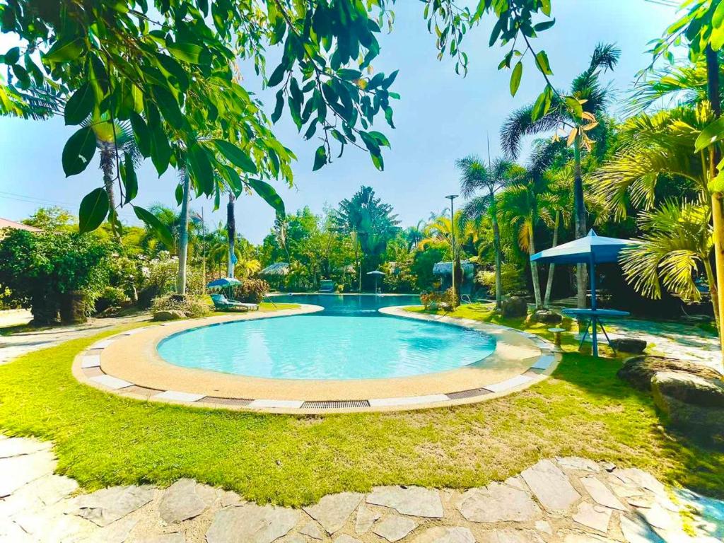a swimming pool in a park with palm trees at Daily Bread Organic Farm & Resort in Bustos