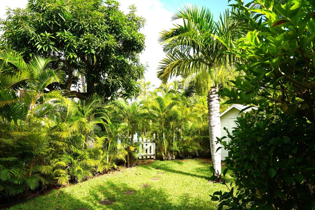 een tuin met palmbomen en een wit huis bij Dodo Coconut lagon Ermitage in Saint-Gilles-les-Bains