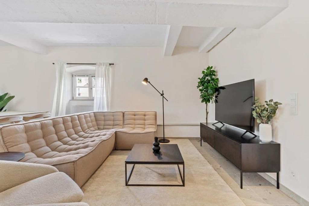 ein Wohnzimmer mit einem Sofa und einem TV in der Unterkunft Clausen Charm Contemporary Retreat ID210 in Luxemburg (Stadt)