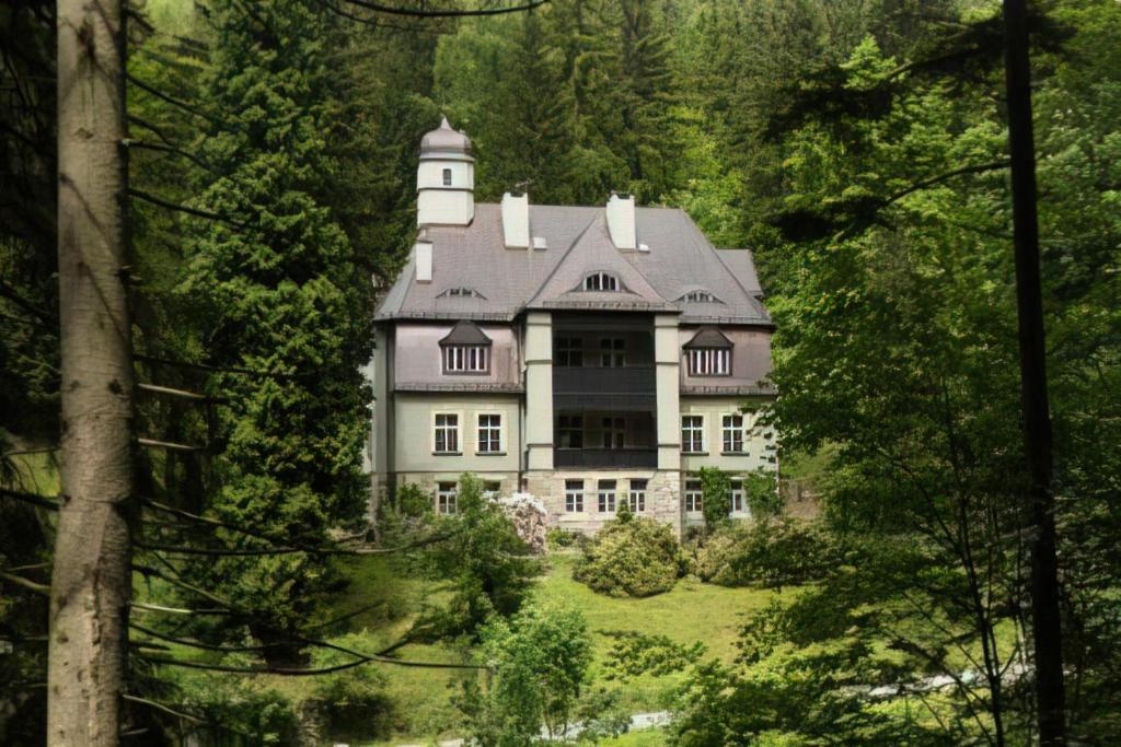 a large house in the middle of a forest at Villa Pepita in Miedzygorze