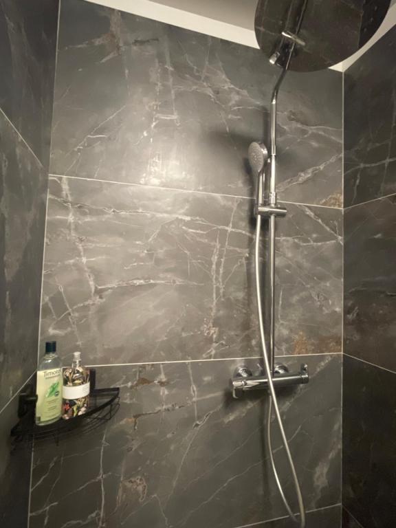 Koupelna v ubytování Appartement 2 pièces vue mer proche Monaco