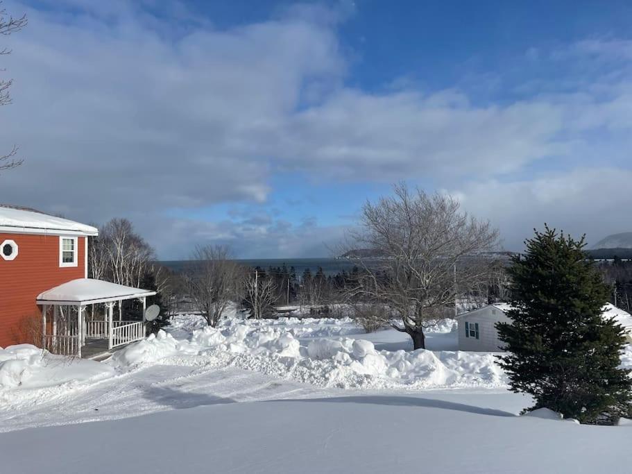 ein schneebedeckter Hof neben einem Haus in der Unterkunft Ardan Cottage in Ingonish in Ingonish Beach