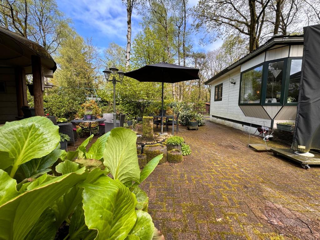Zahrada ubytování VELUWSHOF HOENDERLOO HOLIDAYS Luxe Holidayhomes with PRIVATE JACUZZI'S - SwimmingPool - Tennis Court - Bowling - Supermarket and Children Entertainment