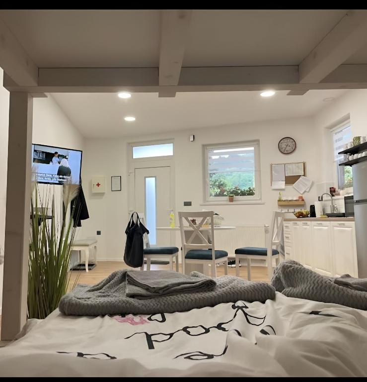 Apartman Mr Guest Krapina - 12