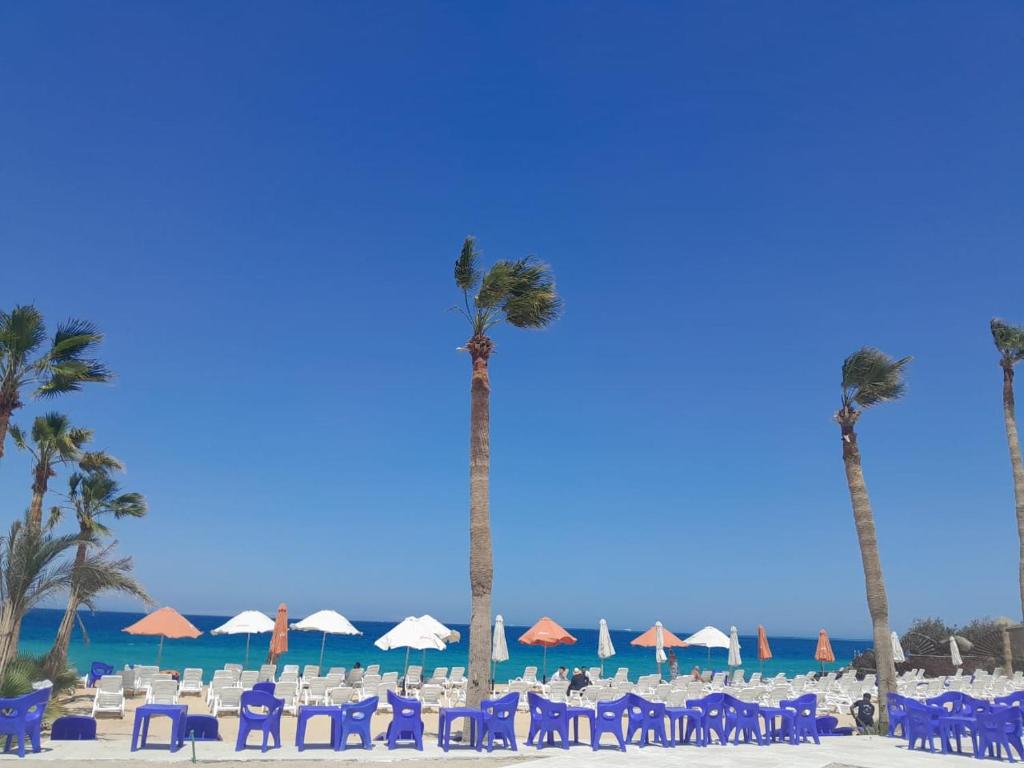 Juliana Beach Hurghada في الغردقة: مجموعة من الكراسي وأشجار النخيل على الشاطئ