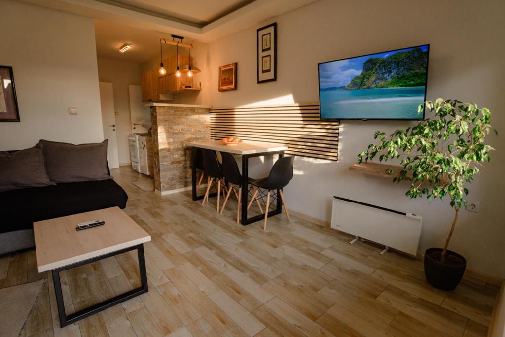 a living room with a couch and a table at Apartman Sen's in Leskovac