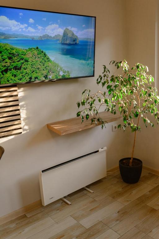 TV a/nebo společenská místnost v ubytování Apartman Sen's