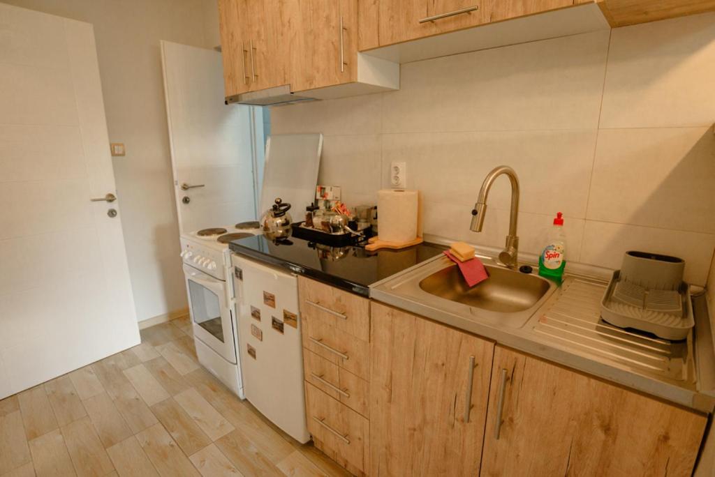 Kuchyň nebo kuchyňský kout v ubytování Apartman Sen's