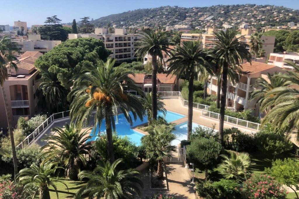 - une vue sur la piscine bordée de palmiers dans l'établissement A042-Beautiful functional bright apt- Vallauris, à Vallauris
