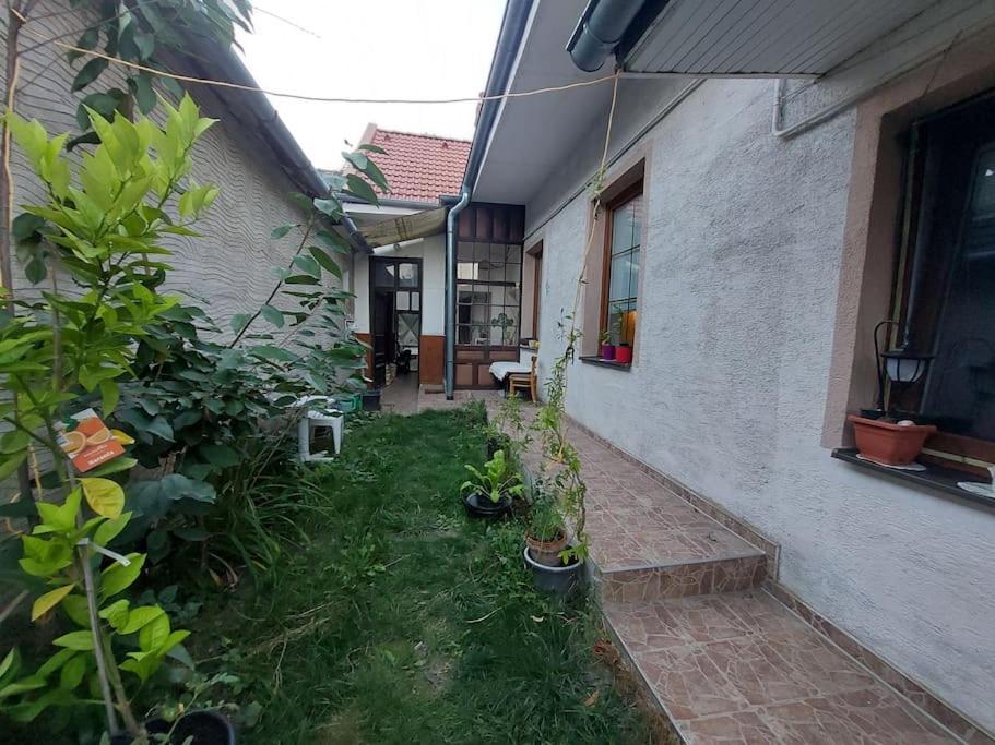 a courtyard of a house with a yard with plants at Dom v centre Piešťan in Piešťany
