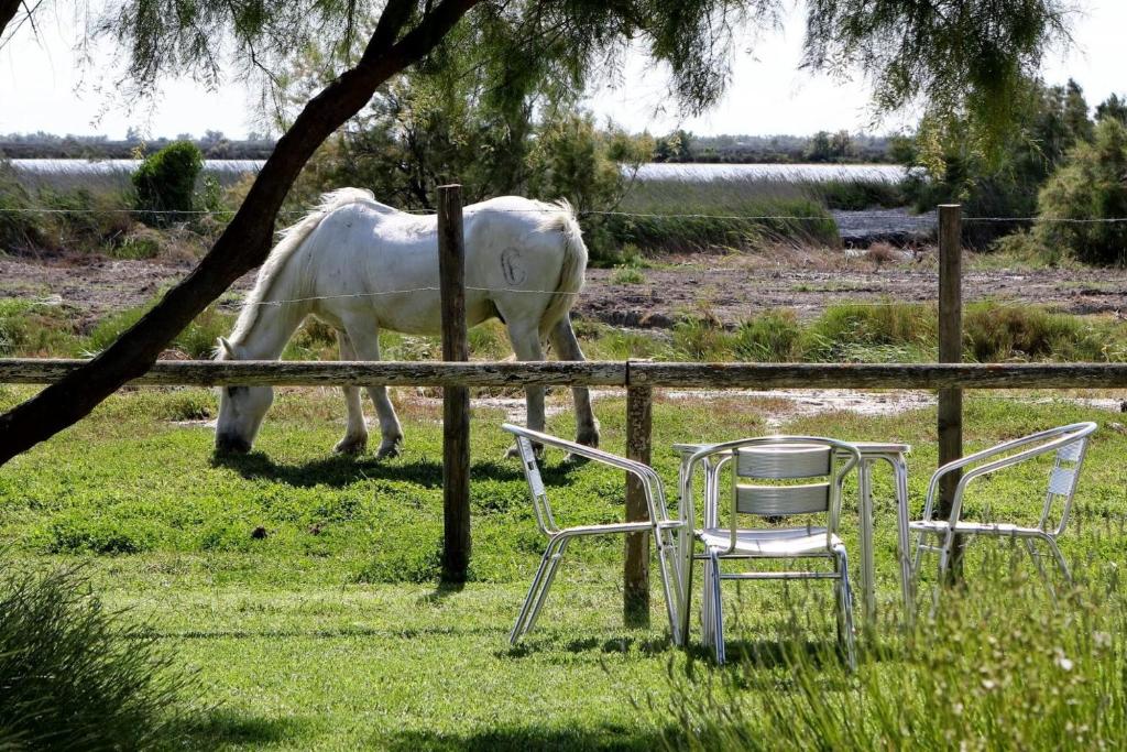 Hôtel La Palunette - 1