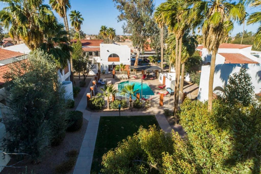 an aerial view of a backyard with a pool and palm trees at 34B- Modern studio condo heated pool and dog park in Casa Grande