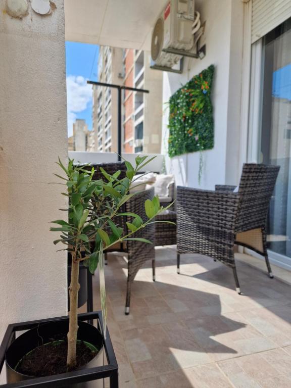 Balkón nebo terasa v ubytování Luxury Apartment Nuneni
