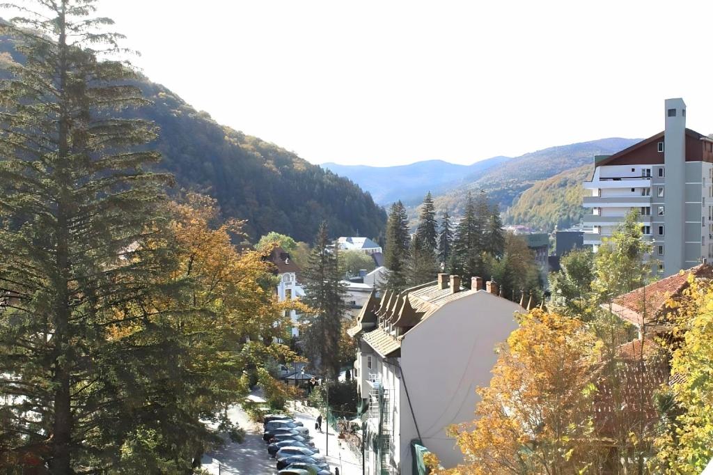 a view of a city with cars parked on a street at Central Park View Sinaia in Sinaia