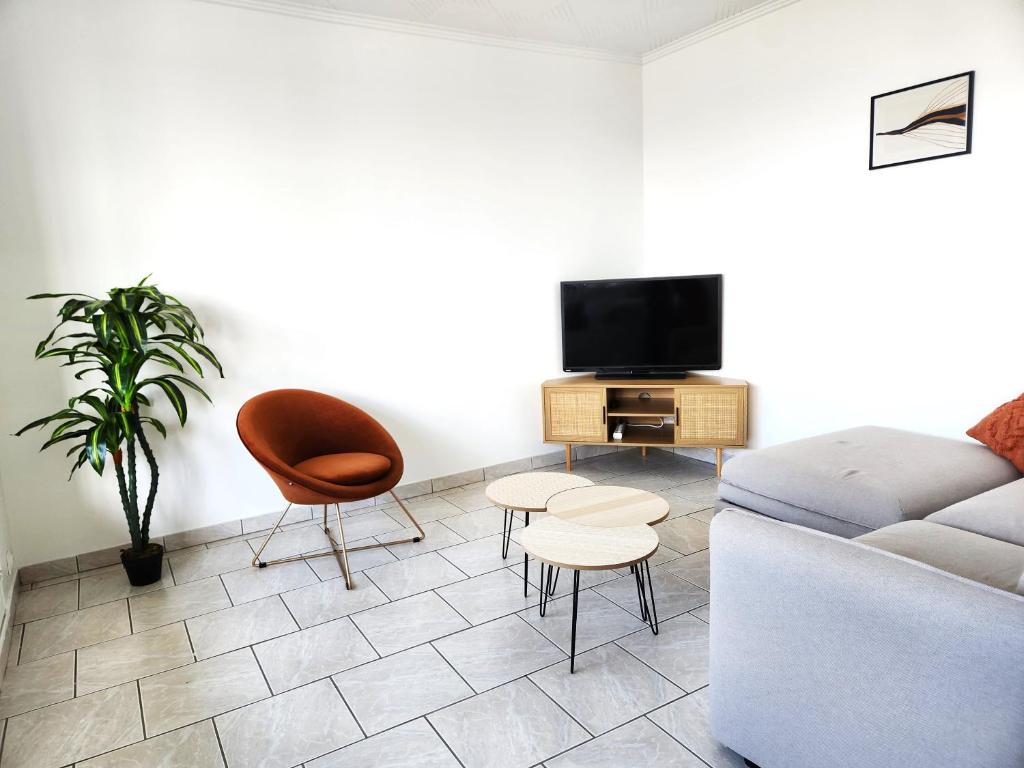 a living room with a couch and a tv at Appartement cosy et lumineux in Saint-Jean-de-la-Ruelle