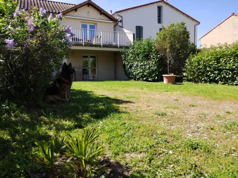 a cat sitting in the yard of a house at Le pigeonnier in Millau