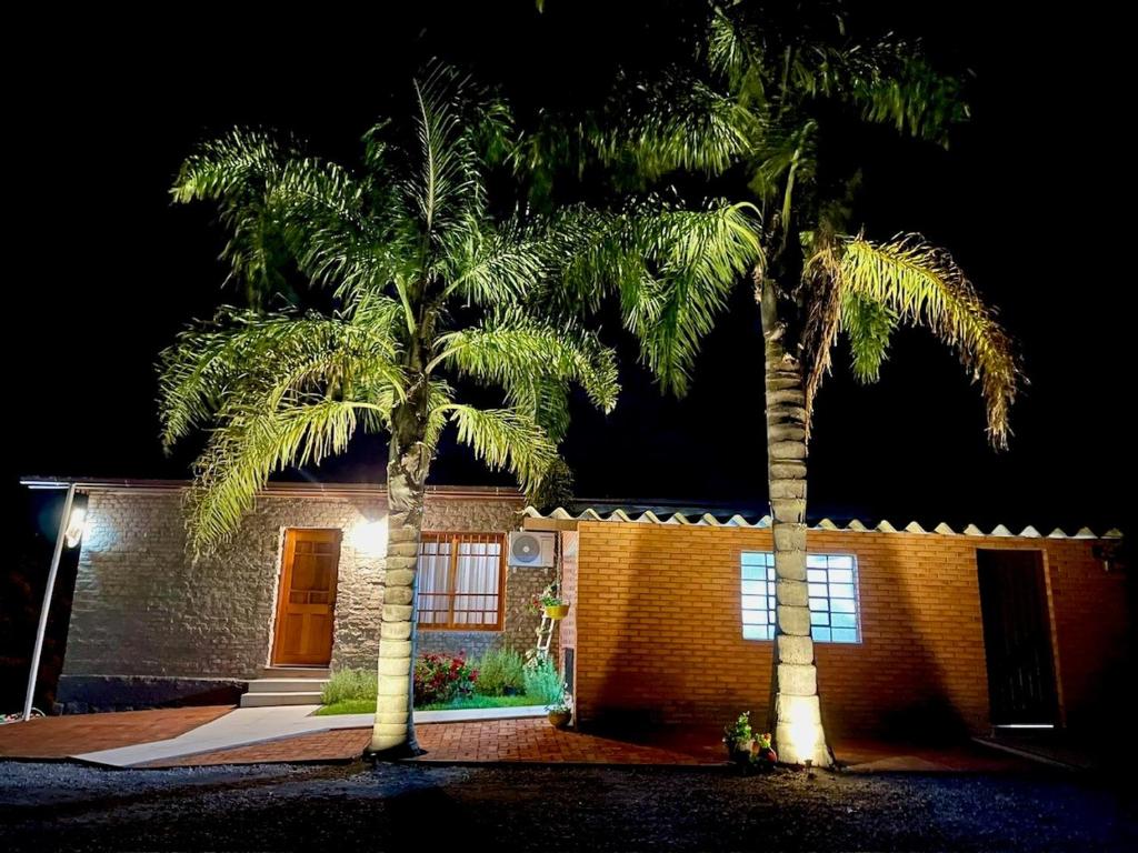 two palm trees in front of a house at night at Casa Vita BG - Casa de campo in Bento Gonçalves