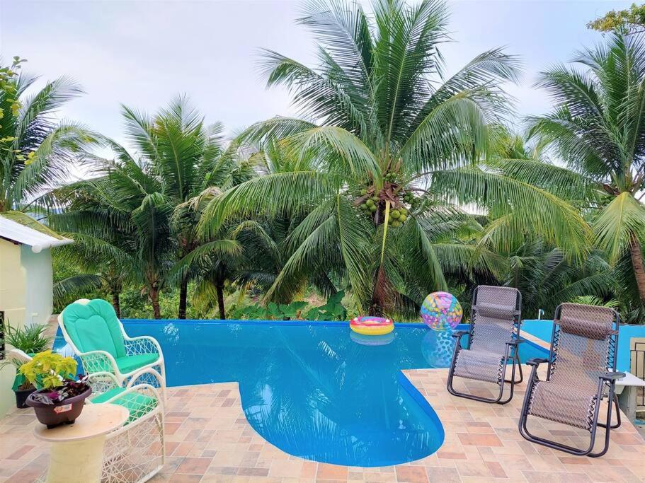 una piscina con sillas, una mesa y palmeras en Villa Familiar en Río San Juan con Wifi BBQ Piscina @drvacationsrental en Río San Juan