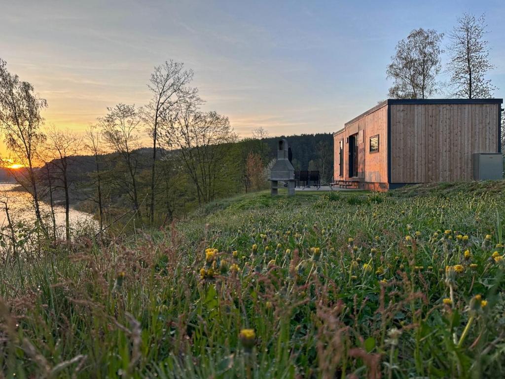 a building on a hill with a field with flowers at HOLIDAY VILLAGE "SEEBLICK" in Bavaria - tiny chalets with terrace right on the lake in Neunburg vorm Wald