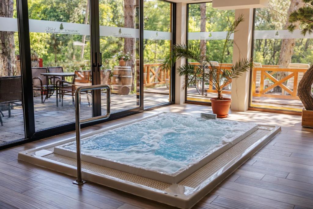Patio nebo venkovní prostory v ubytování Hotel Borkovac