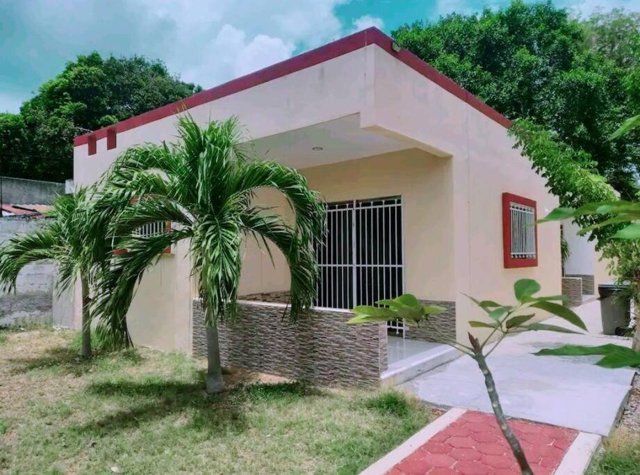 una pequeña casa con una palmera delante de ella en Estrella de Mar: Departamento en Progreso en Progreso