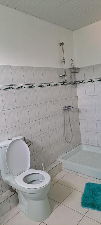 a bathroom with a toilet and a bath tub at Villa Léïna in Le Robert