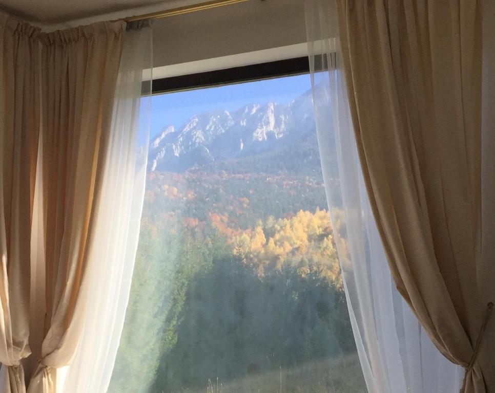 a window with a view of a mountain at Villa & SPA 4Temporadas - Plaiul Foii in Zărneşti
