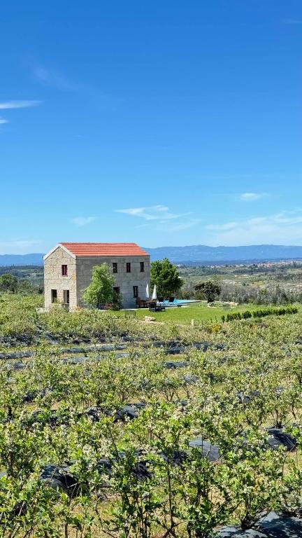 an old building in the middle of a field at Quinta da Cumieira Nova in Seia