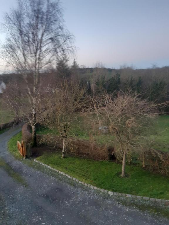 dos árboles a un lado de una carretera en An Teach Cnoc, en Monaghan