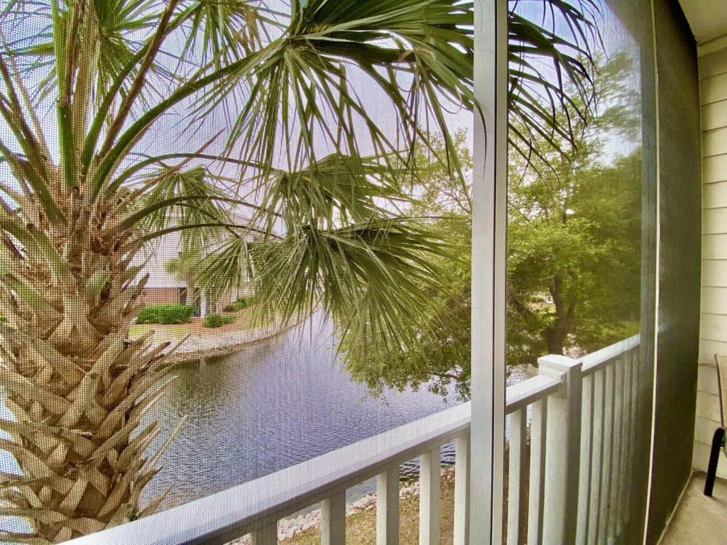 een raam met uitzicht op een palmboom en water bij Lakefront Condo w Huge Waterfront Pool Hot Tub in North Myrtle Beach