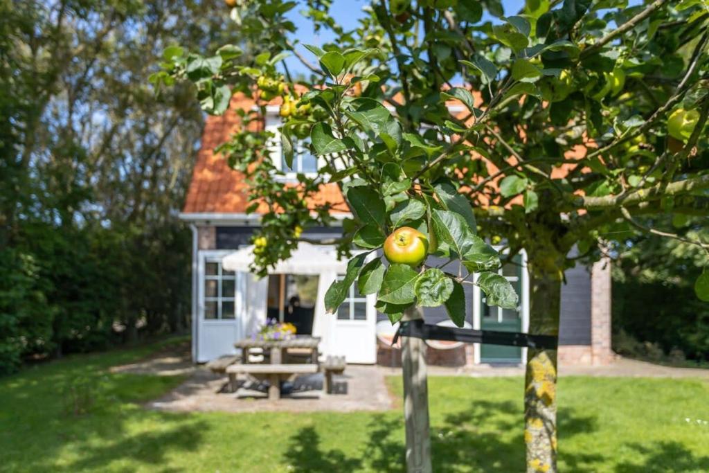 una casa con una mesa de picnic delante de ella en Het Kleine Huis at Buitenplaats Zeeuwse Liefde en Westkapelle