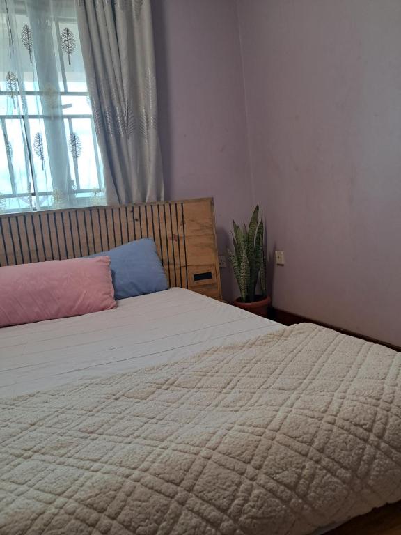 Un dormitorio con una cama grande y una ventana en ZET HOLDINGS, en Jinja