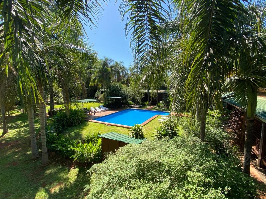 een uitzicht over een zwembad in een tuin met palmbomen bij Posada 21 Oranges in Puerto Iguazú