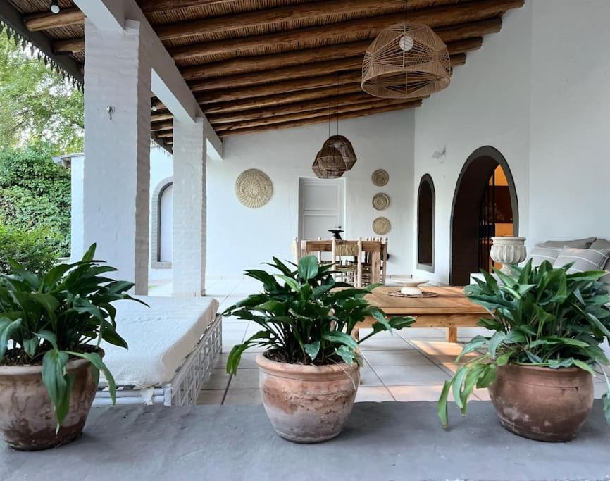 a living room with potted plants and a table at Cálida casa en el corazón de Chacras de Coria in Ciudad Lujan de Cuyo