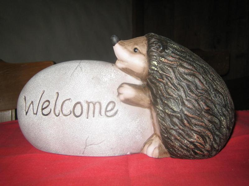 a figurine of a hedgehog leaning out of a welcome rock at Hotel Elite B&B in Rossinière