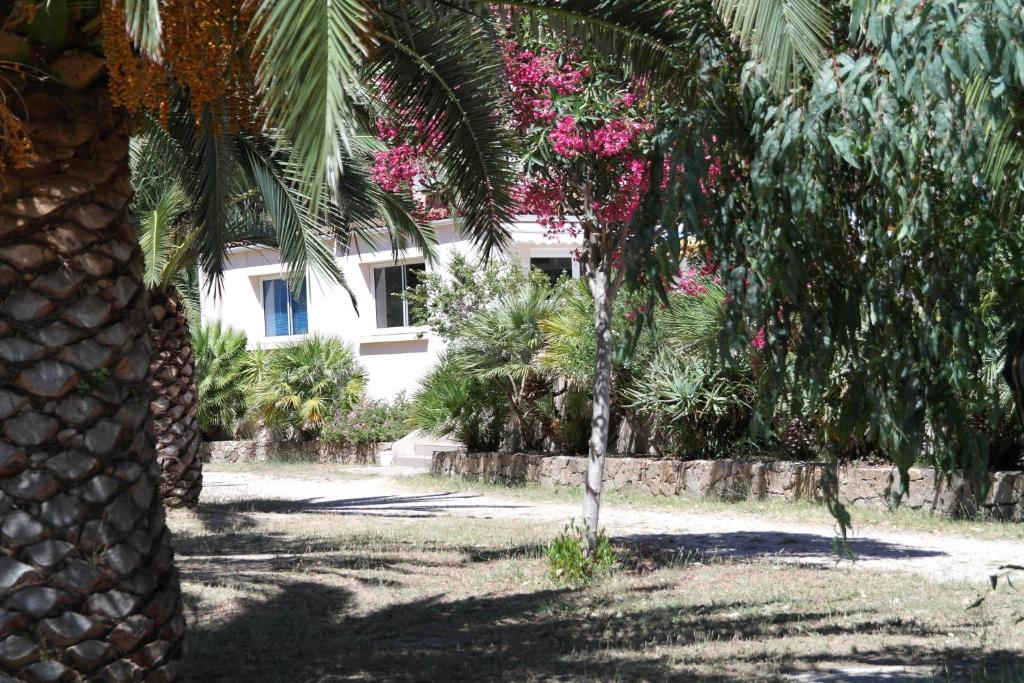 a white house with palm trees and pink flowers at Residence Thalassa in Calvi