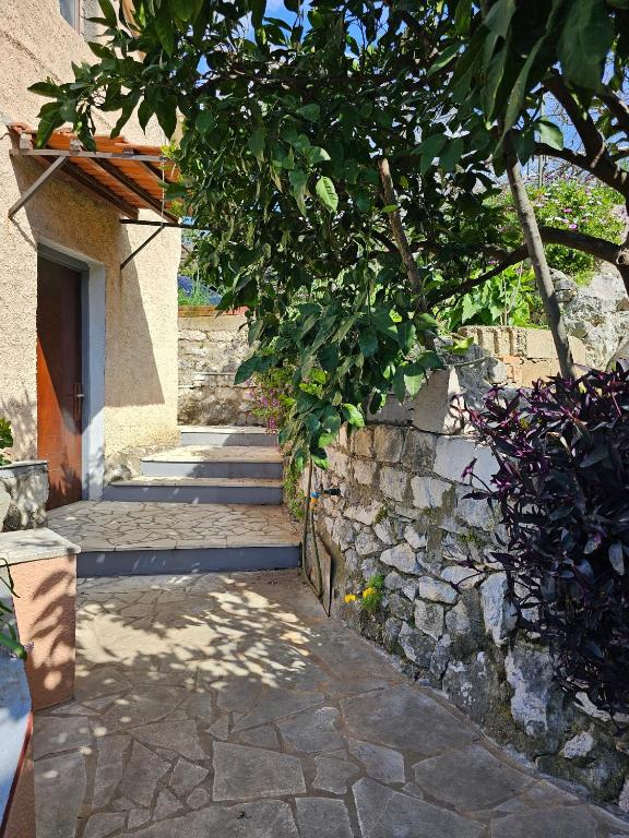 Vonkajšia záhrada v ubytovaní Apartments with parking spaces Slano, Dubrovnik - 8540