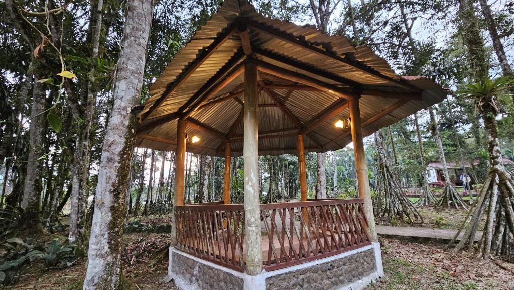 Zahrada ubytování Hostería Finca El Pigual