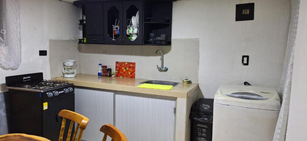 una pequeña cocina con encimera con fregadero y fogones en la muñeca apartamento, en Pereira